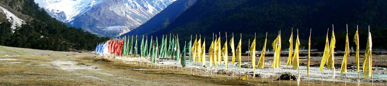 Gangtok and Pelling Tour