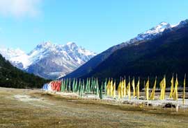 Gangtok and Pelling Tour