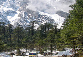 Gangtok Yumthang Tour